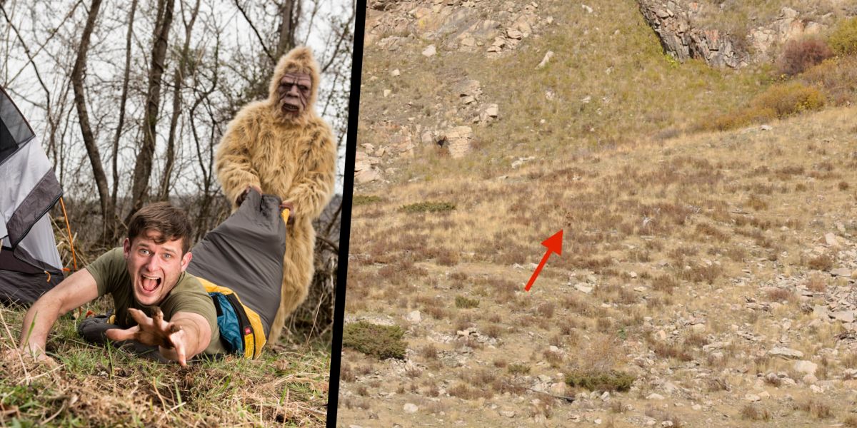 Is that Bigfoot? US couple captures video of mythical creature